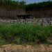 Lotes pertencem à Suzano Papel e Celulosa, mas são invadidos — Foto: Reprodução/TV Gazeta