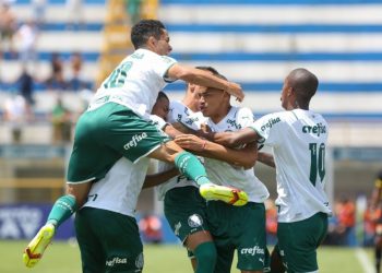 Foto: Cesar Greco/Palmeiras