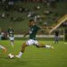 Foto: Thomaz Marostegan/Guarani FC