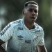 Foto: Ivan Storti/Santos FC