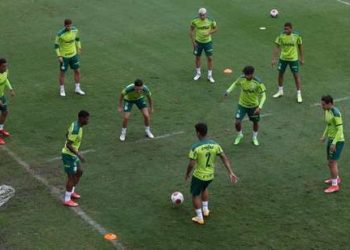 Foto: Cesar Grecco/Palmeiras)