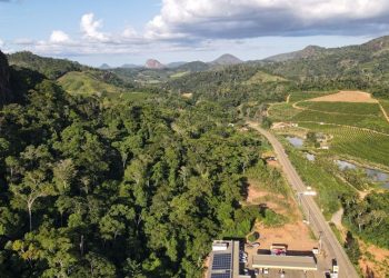 Foto: Assessoria de Comunicação do Idaf
