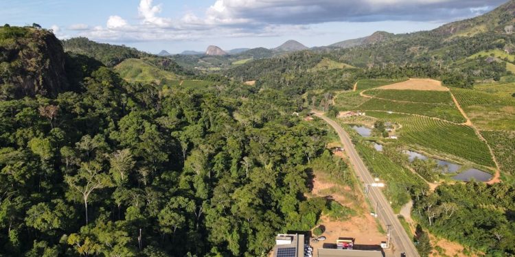 Foto: Assessoria de Comunicação do Idaf