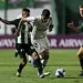 Foto: Divulgação/Conmebol