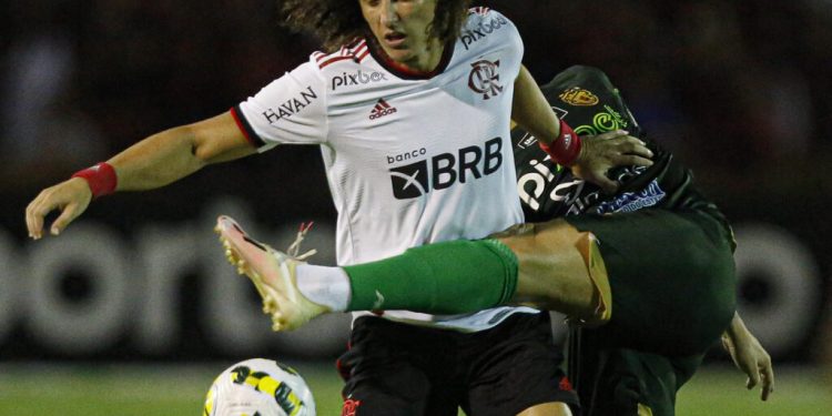 Foto: Gilvan De Souza / Flamengo