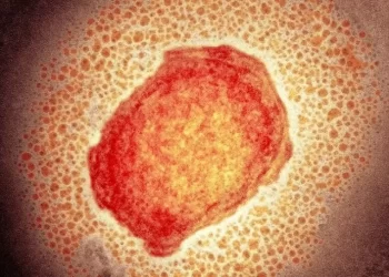 Imagem: Science Photo Library