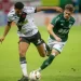 Imagem: Daniel RAMALHO/CRVG