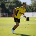 Foto: Gilvan de Souza / Flamengo