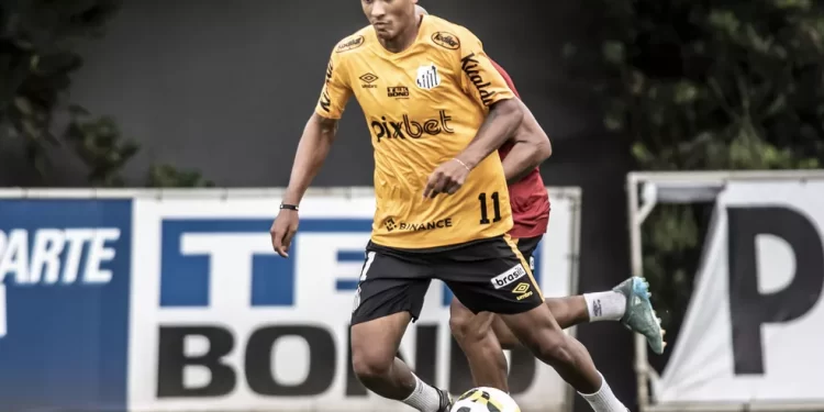 Foto: Ivan Storti/Santos FC