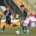 Foto: Thomaz Marostegan/Guarani FC