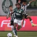 Imagem: Ettore Chiereguini/AGIF