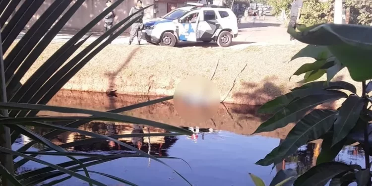 Foto: Reprodução/TV Gazeta
