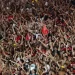 (Foto: Gilvan de Souza / Flamengo)