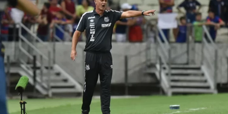 Foto: Ivan Storti/Santos FC