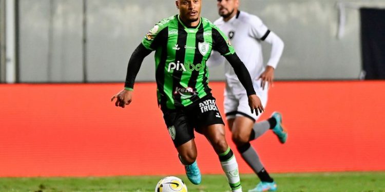 Mourão Panda / América