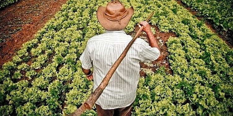 Imagem: Arquivo / Agência Brasil