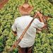 Imagem: Arquivo / Agência Brasil