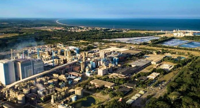 Foto: Suzano. Fonte: Nova Onda Online