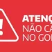 Foto: priscyllasouza