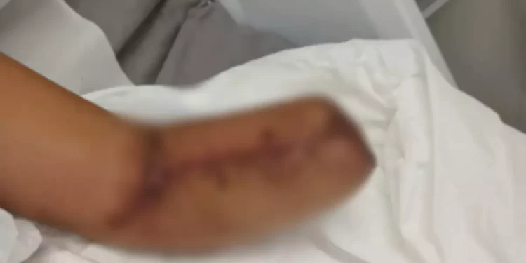 (Foto: arquivo pessoal)