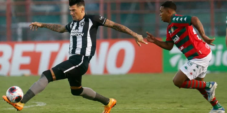 Foto: Reprodução/VitorSilva/Botafogo