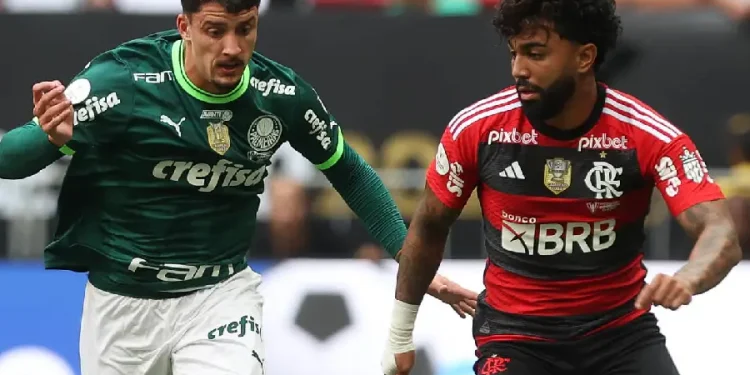 Cesar Greco/S.E. Palmeiras