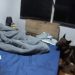 (Imagem da casa do abusador)