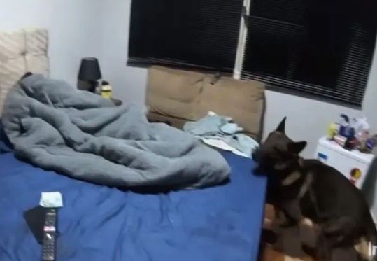 (Imagem da casa do abusador)