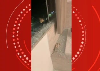 Foto: Reprodução/TV Gazeta