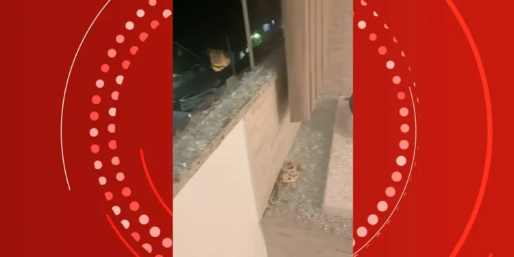 Foto: Reprodução/TV Gazeta