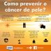 Foto: Reprodução / hsvp.com.br