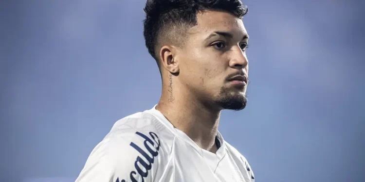 Foto: Raul Baretta / Santos FC