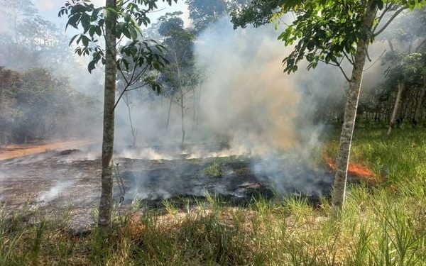 Foto: Leitor | A Gazeta