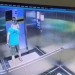 Crédito: Reprodução