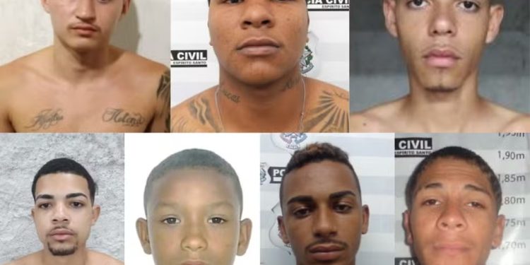 Foto: Divulgação/Polícia Civil