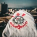 Foto: Hugo Rodrigues/Corinthians