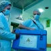 Foto:  Divulgação/Ministério da Saúde