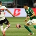 Foto: Cesar Greco/Palmeiras/by Canon
