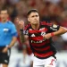 Crédito: Gilvan de Souza / Flamengo