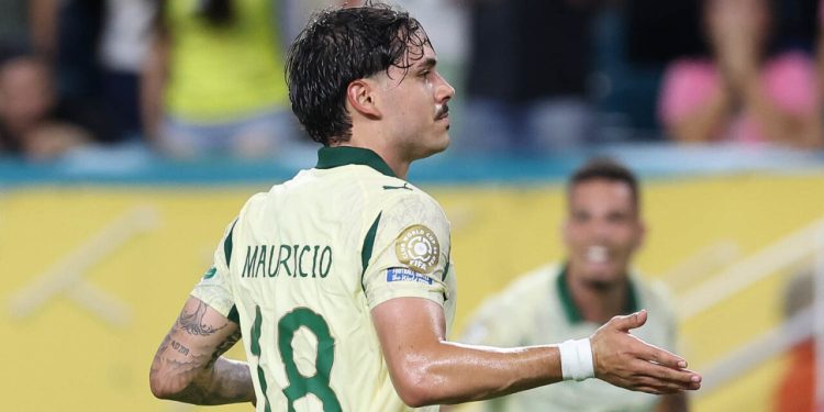 Foto: Divulgação/ Cesar Greco/Palmeiras