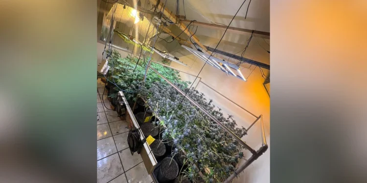 Crédito: Divulgação/SESP