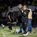 Foto: Raul Baretta/ Santos FC