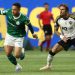 Foto: Cesar Greco/Palmeiras