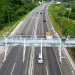 Foto: Abepam | Divulgação