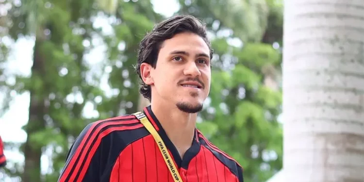 Foto: Gilvan de Souza / Flamengo