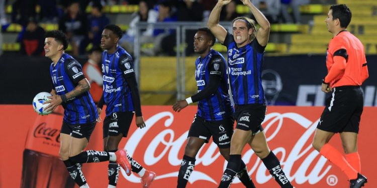 Foto: Divulgação/IDV