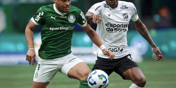 Foto: Palmeiras