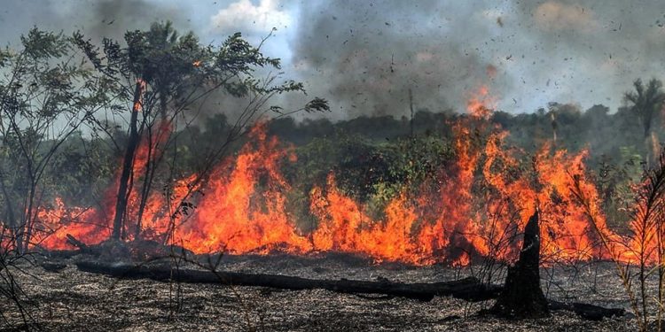 Foto: es.gov.br