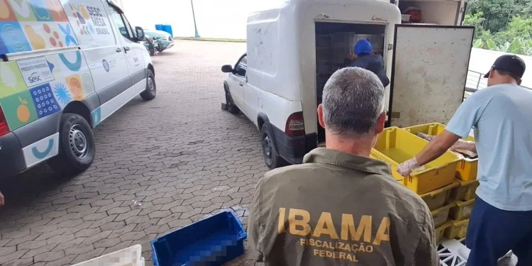 Crédito: Divulgação/Ibama